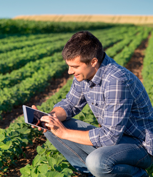 Relações públicas no agronegócio: uma estratégia de sucesso