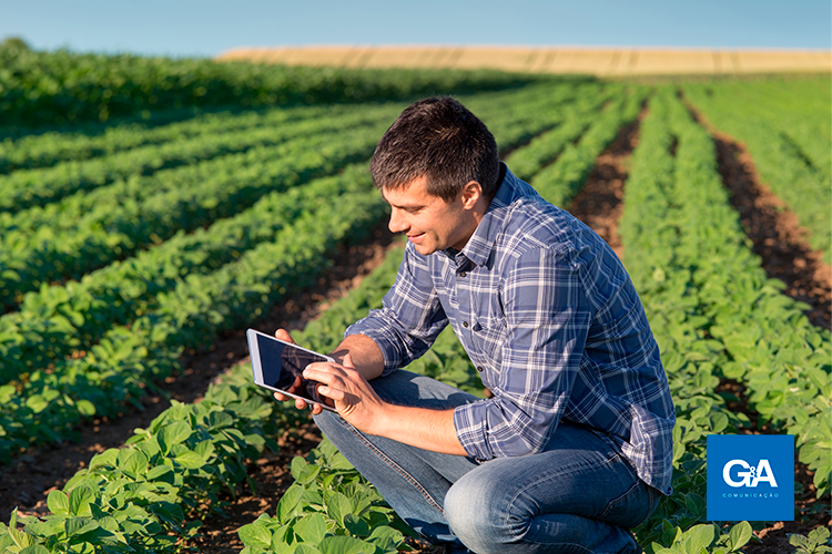 Relações públicas no agronegócio: uma estratégia de sucesso
